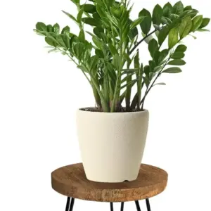 Wooden Plant Stand – Round Indoor Plant Stool