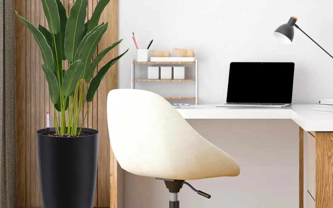 Guide to Use Self Watering Pots & Planters